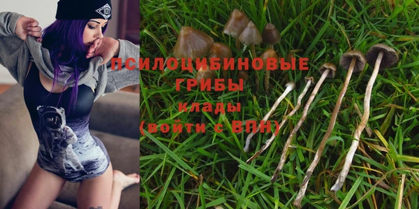 прущая мука Арсеньев
