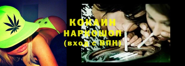 шишки Армянск