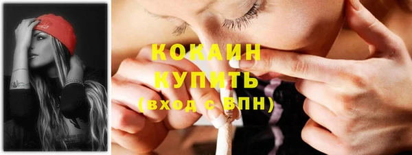 шишки Армянск