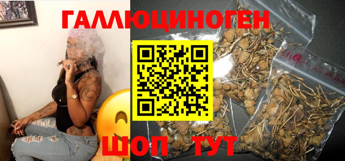 Галлюциногенные грибы GOLDEN TEACHER Зима