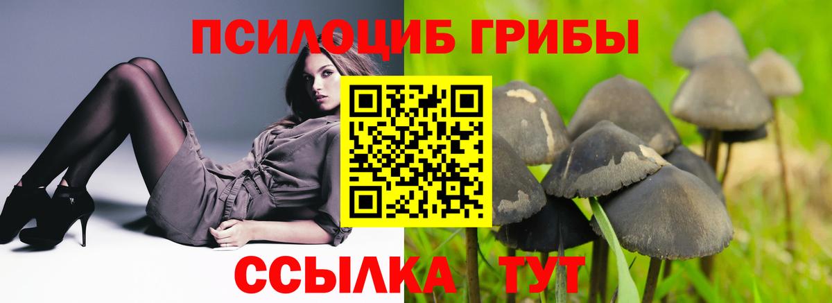 Псилоцибиновые грибы Cubensis  Галлюциногенные грибы Psilocybine cubensis  Вход с VPN  Зима 