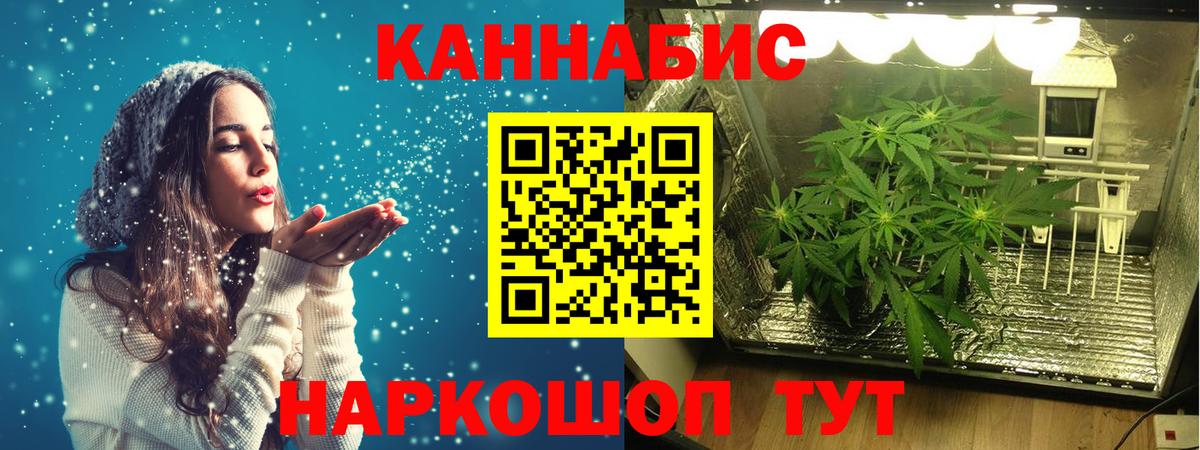 Каннабис индика  Вход с VPN  Зима  Конопля индика 
